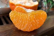 授柑橘種植技術(shù)培訓(xùn)的信息_怎樣防止柑橘干旱