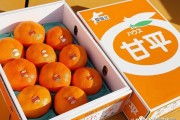 甘平柑橘種植技術_增強人體免疫力的蔬菜有哪些