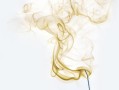 2023-2024柑橘病蟲(chóng)害防治用藥指南最新版：科學(xué)用藥方案與綠色防控技術(shù)解析