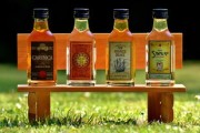 柑橘烏云飲品怎么做不加酒？零酒精配方與詳細制作步驟大公開