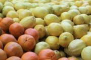 耙耙柑哪里產(chǎn)？探秘中國(guó)核心產(chǎn)區(qū)及果肉飽滿(mǎn)的耙耙柑特色