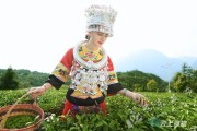 巴東小柑橘種植技術(shù)_巴東神龍溪來歷