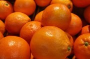 紅美人柑橘樹苗直播間：手把手教你種出高產(chǎn)甜蜜柑橘！