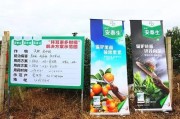 柑橘種植技術(shù)與管理圖片_柑橘有花無(wú)梢如何管理
