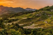 央視拍攝眉山柑橘產(chǎn)業(yè)振興，金黃果實(shí)映照鄉(xiāng)村振興路＂（19字）