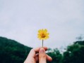 防治柑橘三種藥（給我講一講柑橘病蟲(chóng)害防治）