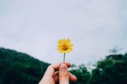 防治柑橘三種藥（給我講一講柑橘病蟲害防治）