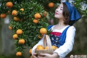 柑橘專治潰瘍病蟲害視頻_請(qǐng)問(wèn)有什么徹底的辦法嗎