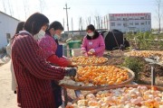 柑橘樹種植技術(shù)圖解_怎么種植柑橘苗