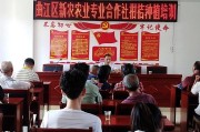 150畝柑橘種植技術(shù)_柑橘種植4米X2米一畝地多少株 150畝柑橘種植技術(shù)_柑橘種植4米X2米一畝地多少株