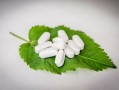 最抗凍柑橘品種什么？中國(guó)北方耐寒柑橘推薦榜單解析