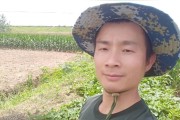 柑橘哪些病蟲害不能用藥_吡唑醚菌酯在柑橘的最佳使用時間 柑橘哪些病蟲害不能用藥_吡唑醚菌酯在柑橘的最佳使用時間