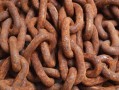 柑橘病蟲害套裝全解析：高效防治方案與專業(yè)管理工具推薦