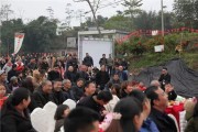 藏柑橘種植技術(shù)_桔子樹葉子掉了什么時(shí)候發(fā)芽