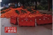 沃柑橘子種植技術(shù)視頻_沙糖桔內(nèi)膛小枝可以剪掉嗎 沃柑橘子種植技術(shù)視頻_沙糖桔內(nèi)膛小枝可以剪掉嗎