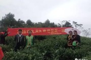 霞浦千畝柑橘種植技術(shù)_江庭伍橘友柑桔種植技術(shù)