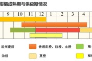 愛媛28號品種介紹_紅美人哪個品種最正宗 愛媛28號品種介紹_紅美人哪個品種最正宗