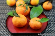 柑橘防蟲網(wǎng)下種植技術(shù)_栽種綠植如何防止病蟲害