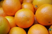 新鮮柑桔樹苗熱賣中：優(yōu)質(zhì)品種包成活，春季種植正當(dāng)時(shí)！