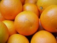 生物農(nóng)藥殺柑橘紅蜘蛛（柑桔紅蜘蛛危害果實）