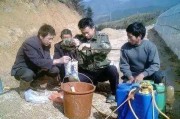 柑橘全年病蟲害進程圖表_如何有效的預防跟治療柑橘砂皮病