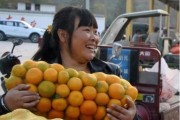 種植柑橘培訓(xùn)技術(shù)文章_為什么地中海氣候適宜種植柑橘