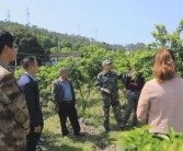 柑橘種植技術(shù)培訓(xùn)圖片_柑橘的種植方法