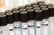 柑橘新品種如何研發(fā)：關鍵科學 *** 與技術路徑全解析