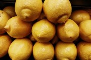 四川特大柑橘樹苗特大號(hào)：高產(chǎn)優(yōu)質(zhì)新品種助農(nóng)增收