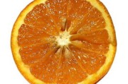 未來(lái)5年柑橘品種分析：種植趨勢(shì)、市場(chǎng)潛力與品種創(chuàng)新前瞻