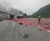 銅仁柑橘種植技術(shù)要點簡介_湖南麻陽縣屬于哪個市