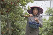 建德三都柑橘種植技術_建德的產(chǎn)業(yè)