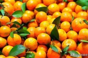 柑橘育苗覆膜種植技術(shù)_雨水節(jié)氣快到了
