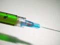 柑桔黃葉怎么辦？原因分析及科學(xué)防治方法全解析
