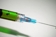 柑桔黃葉怎么辦？原因分析及科學(xué)防治方法全解析