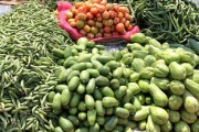 新品柑橘上市時間指南：搶先解鎖當(dāng)季鮮甜口感與最佳選購時機
