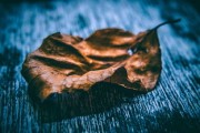 柑橘烏云哪張專輯？全曲目列表與創(chuàng)作背景深度解析
