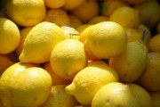 陽(yáng)光一號(hào)領(lǐng)銜！柑橘最好三大品種解析與高產(chǎn)種植指南
