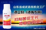 防治柑橘病蟲害的中草藥_柑橘土壤板結應該怎么辦