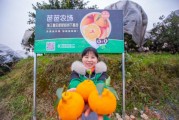 四川種植柑橘技術_為什么四川萬源境內很少人種柑橘
