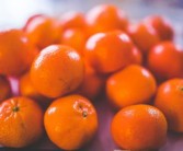 桔柚有幾個(gè)品種名稱(chēng)叫什么（桔柚好吃嗎）