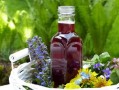 生活就像夏天柑橘樹掛青皮：苦酸自釀，甜熟需待西風(fēng)吻痕
