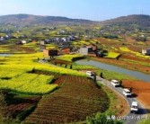 柑橘食用菌種植技術(shù)_異抗壞血酸鈉的正確添加方法