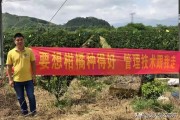 廣西柑橘種植技術圖片及價格_2021年12月份柳州有什么果可搞