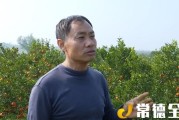 澧縣柑橘種植技術(shù)培訓(xùn)_湖南的物產(chǎn)有哪些全國(guó)之最