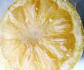 臍橙?；ㄔ霎a(chǎn)（臍橙樹?；ū９檬菜幾詈茫? title=