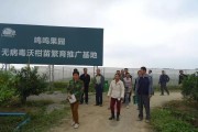 武鳴免費學(xué)習(xí)柑橘種植技術(shù)_沃柑適合什么地方種植