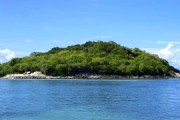 宜賓沃柑基地：長江畔萬畝示范園豐收喜人，甜蜜產(chǎn)業(yè)鋪就鄉(xiāng)村振興新篇章