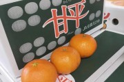 甘平柑橘種植管理技術_種植柑橘要選擇什么樣的苗木比較好