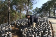 助農(nóng)驛站柑橘種植技術(shù)_你覺得哪種禮品更讓人喜歡